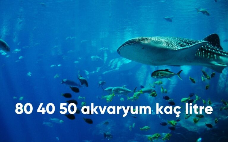 80 40 50 akvaryum kaç litre